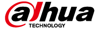 dahua
